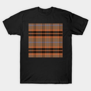 Autumn Aesthetic Ossian 2 Hand Drawn Textured Plaid Pattern T-Shirt